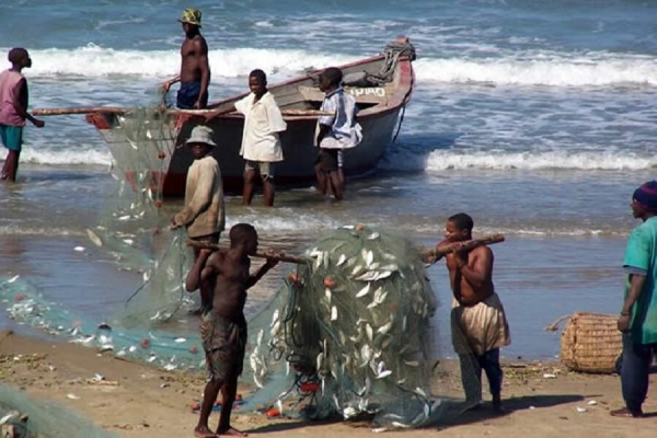 Cabo Delgado: Governo lança Censo da Pesca e Aquacultura