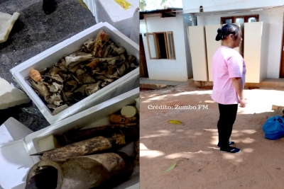 Parte de caixas apreendidas e é visivel pontas de marfins e a Cidadã Vietnamita detida pela SERNIC